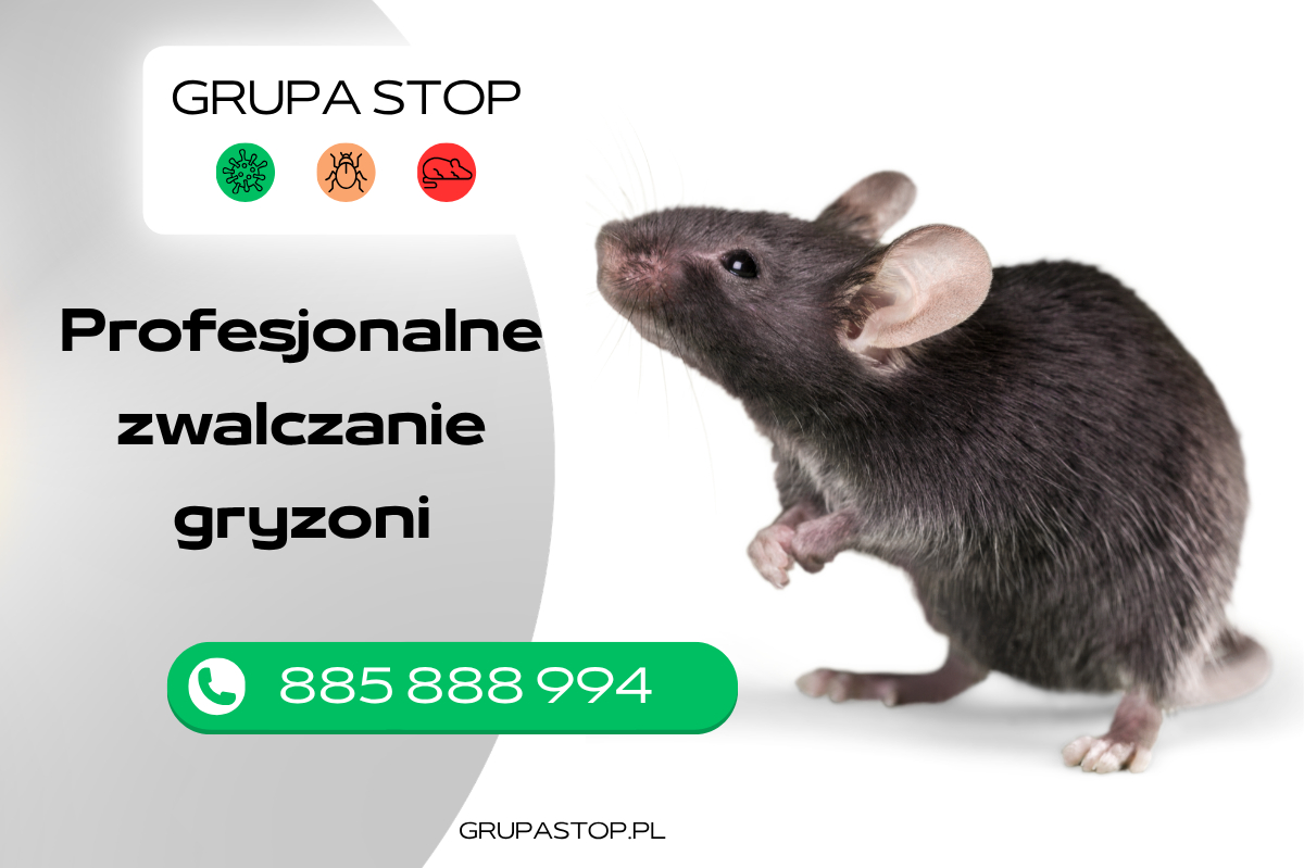zwalczanie gryzoni Grupa Stop